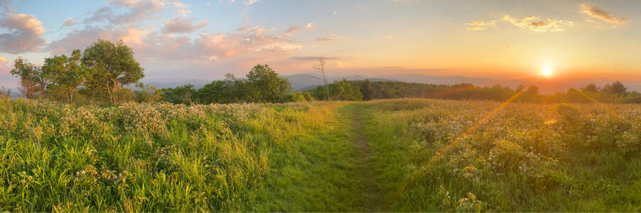 appalachian trail
