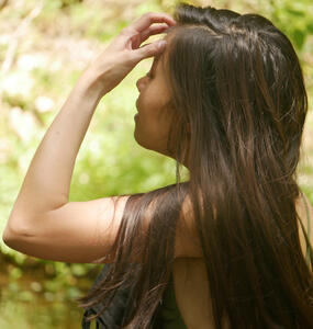 wild blueberries wild blueberries